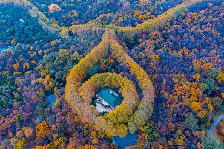 紫金山