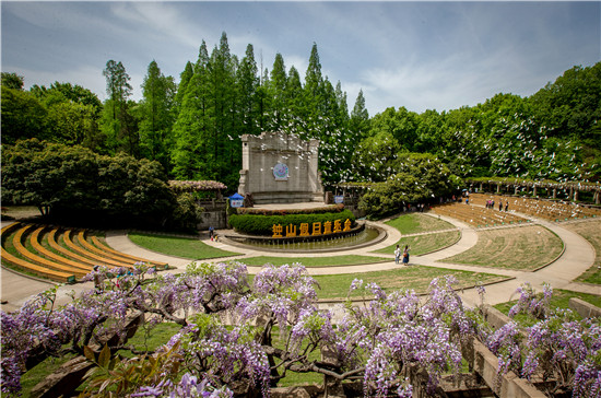 紫金山