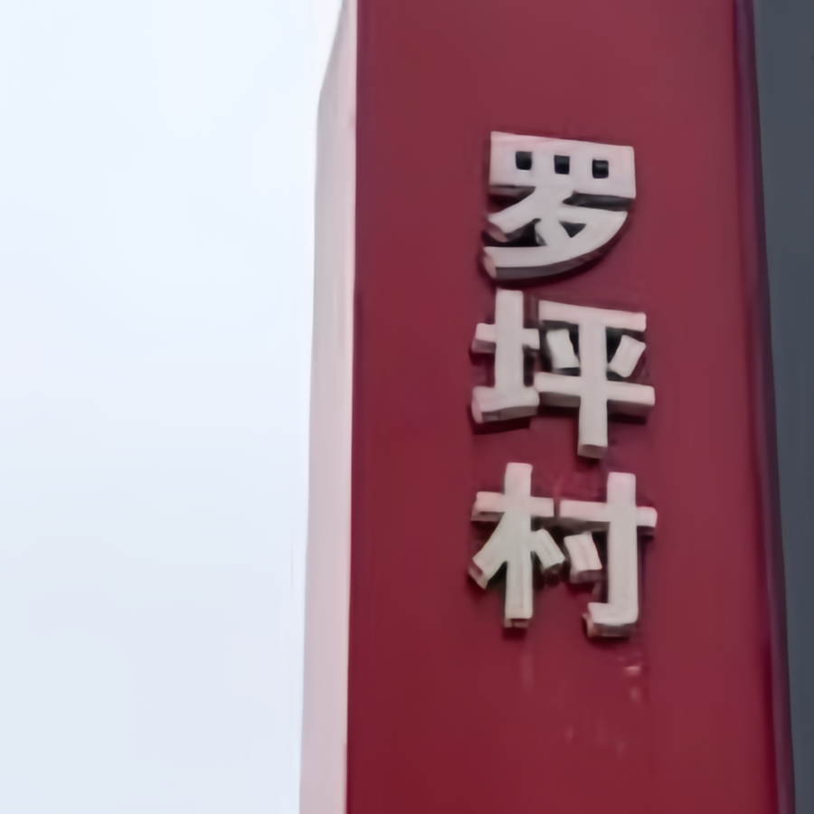 罗坪村