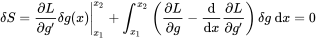 \delta S=\left.\frac{\partial L}{\partial g^{\prime}} \delta g(x)\right|_{x_{1}} ^{x_{2}}+\int_{x_{1}}^{x_{2}}\left(\frac{\partial L}{\partial g}-\frac{\mathrm{d}}{\mathrm{d} x} \frac{\partial L}{\partial g^{\prime}}\right) \delta g \mathrm{~d} x=0