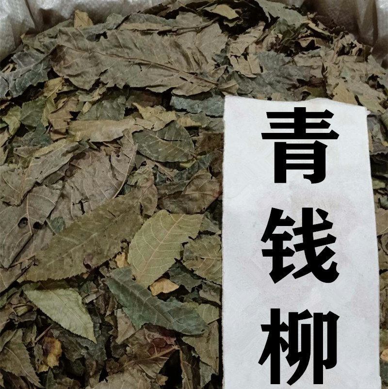 青钱柳茶